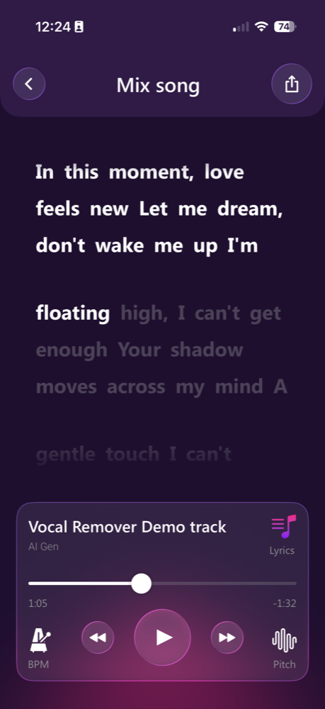 Vocal Remover displaying lyrics alongside playback controls