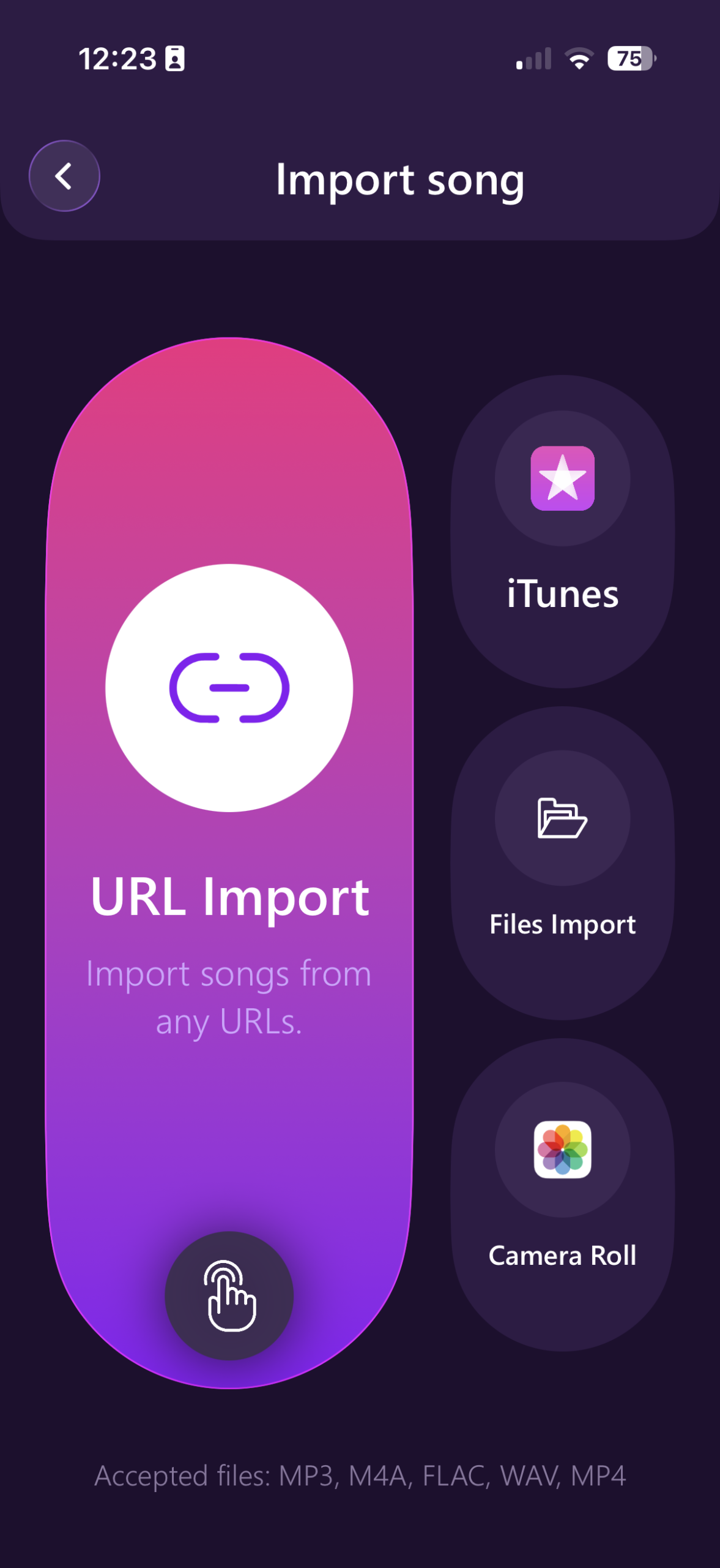 Vocal Remover Import Song from multiple sources